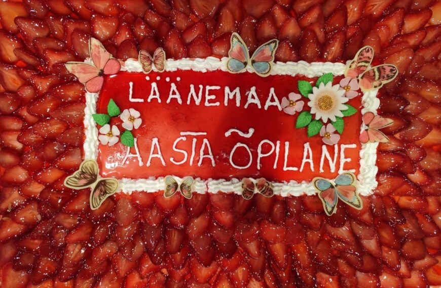 Meie õpilasi tunnustati maakonnas